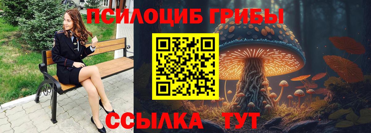Галлюциногенные грибы Psilocybine cubensis Дербент