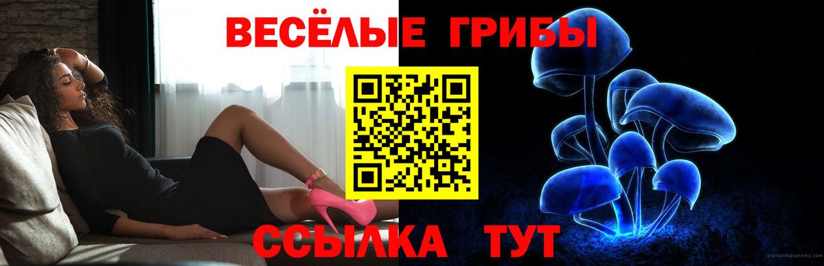 Галлюциногенные грибы Magic Shrooms  Вход с VPN  Псилоцибиновые грибы Magic Shrooms  Дербент 